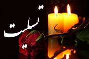 همکار محترم سرکار خانم دکتر نیر زاهدی