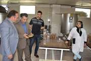 بازدید مدیر کل دامپزشکی استان اردبیل از کارخانه بسته بندی عسل درخشان
