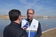 مدیر کل دامپزشکی استان اردبیل در خصوص شیوع احتمالی بیماریهای تنفسی طیور هشدار داد