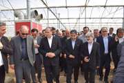 سفر وزیر جهادکشاورزی به استان اردبیل به روایت تصویر