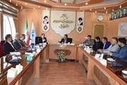 هم اندیشی مدیران دامپزشکی و مدیران صدا و سیما با هدف هم افزائی بین بخشی