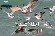 اطلاعیه اداره کل دامپزشکی استان اردبیل در خصوص رخداد بیماری آنفلوانزای  فوق حاد پرندگان در حیات وحش تالاب سد میل مغان