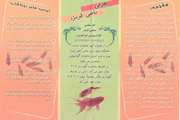 توصیه های بهداشتی و شرایط نگهداری ماهی قرمز