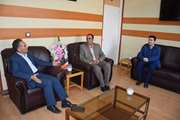 دیدار