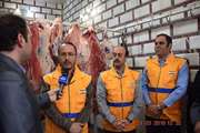رئیس سازمان دامپزشکی کشور در اردبیل: تا اواخر خرداد سال جاری تمام طیور تخمگذار معدوم شده در اثر آنفلوانزای فوق حاد پرندگان جایگزین می شوند