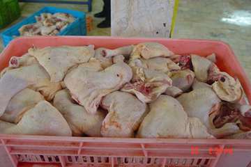 معدوم سازی 2600 کیلوگرم مرغ و آلایش مرغ غیربهداشتی فاسد و تاریخ گذشته در اردبیل به روایت تصویر