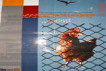 آنفلوانزای فوق حاد طیور