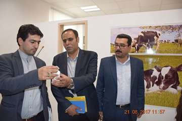 حضور مدیر کل دامپزشکی استان اردبیل و هیئت همراه در هم اندیشی و بازدید از جهاد دانشگاهی به روایت تصوی