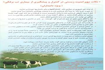 بروشور بیماری تب برفکی