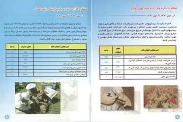 عملکرد یکساله از مهر  87  تا مهر 88