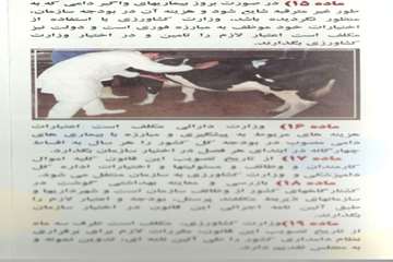 قانون سازمان دامپزشکی کشور