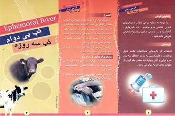 تب سه روزه