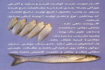 توصیه های بهداشتی دامپزشکی