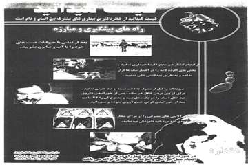 کیست هیداتیک