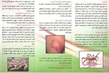 بیماری تب خونریزی دهنده کریمه - کنگو(CCHF)