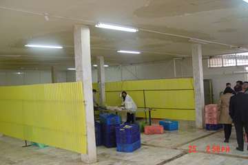 معدوم سازی 2600 کیلوگرم مرغ و آلایش مرغ غیربهداشتی فاسد و تاریخ گذشته در اردبیل به روایت تصویر