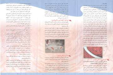  ماهی قرمز، بهداشت و نگهداری آن