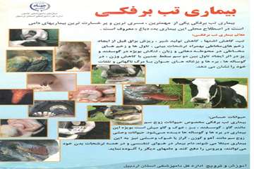 بروشور بیماری تب برفکی