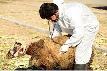 نماز جمعه