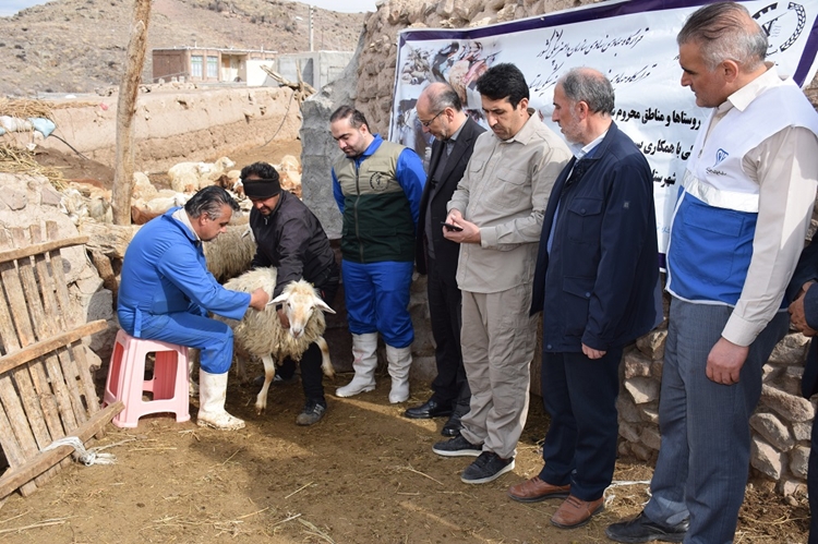 برگزاری رزمایش جهاد دامپزشکی با مشارکت تیم های دامپزشکی و بسیج سازندگی سپاه ناحیه شهرستان مشگین شهر